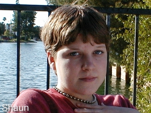 Original image